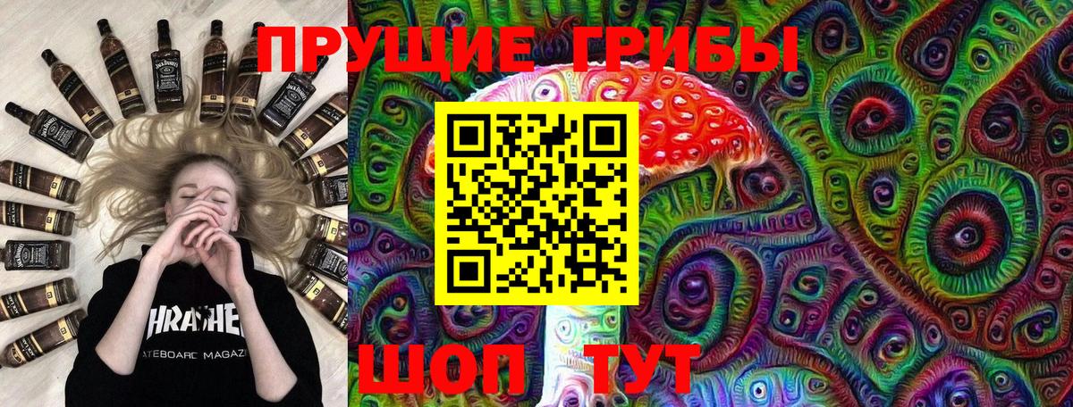 Галлюциногенные грибы MAGIC MUSHROOMS  Вход с VPN  Минеральные Воды 